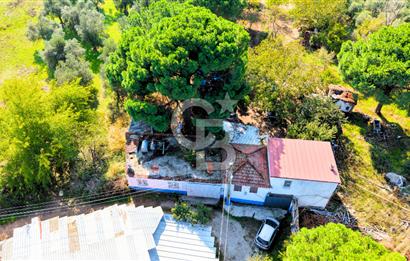İZMİR BERGAMA'DA İÇERİSİNDE EVİ OLAN ZEYTİNLİK
