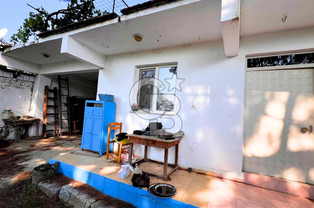 İZMİR BERGAMA'DA İÇERİSİNDE EVİ OLAN ZEYTİNLİK