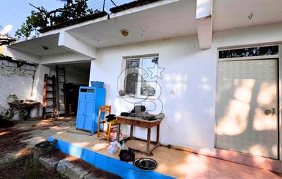 İZMİR BERGAMA'DA İÇERİSİNDE EVİ OLAN ZEYTİNLİK