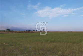 BALIKESİR BANDIRMA ÖMERLİ MH. SATILIK TARLA CB.TOWER - 8 - 308597