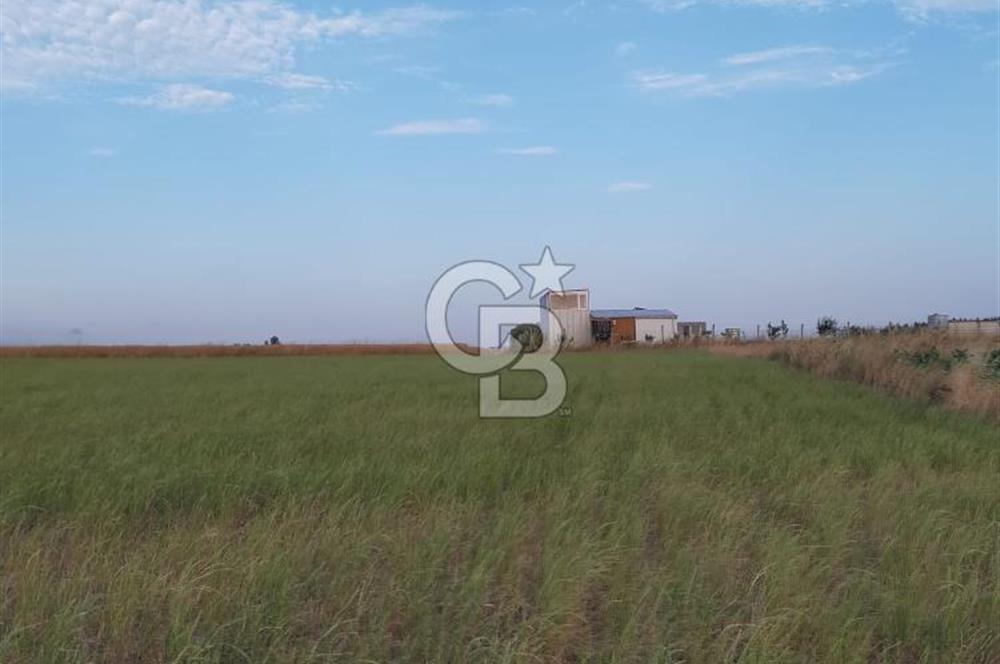 BALIKESİR BANDIRMA ÖMERLİ MH. SATILIK TARLA CB.TOWER