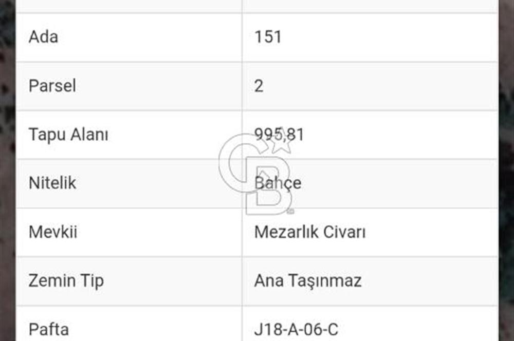 BALIKESİR BURHANİYE AVUNDUK KÖY İÇİ SINIRINDA SATILIK BAHÇE