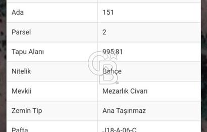 BALIKESİR BURHANİYE AVUNDUK KÖY İÇİ SINIRINDA SATILIK BAHÇE