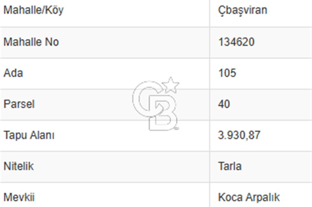KIZILCAHAMAMDA ANADOLU OTOYOLU (E89) YAKINI 3.930 METREKARE TEK TAPU SATILIK TARLA