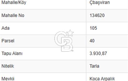 KIZILCAHAMAMDA ANADOLU OTOYOLU (E89) YAKINI 3.930 METREKARE TEK TAPU SATILIK TARLA