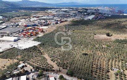 GEMLİK HİSAR SATILIK DEPOLAMA İMARLI EMSALSİZ ARSA. 12.132 M2!