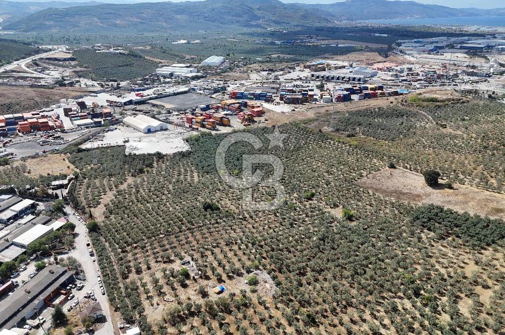 GEMLİK HİSAR SATILIK DEPOLAMA İMARLI EMSALSİZ ARSA. 12.132 M2!