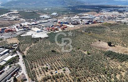 GEMLİK HİSAR SATILIK DEPOLAMA İMARLI EMSALSİZ ARSA. 12.132 M2!