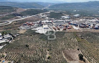 GEMLİK HİSAR SATILIK DEPOLAMA İMARLI EMSALSİZ ARSA. 12.132 M2!