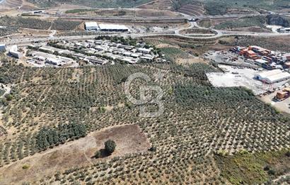 GEMLİK HİSAR SATILIK DEPOLAMA İMARLI EMSALSİZ ARSA. 12.132 M2!