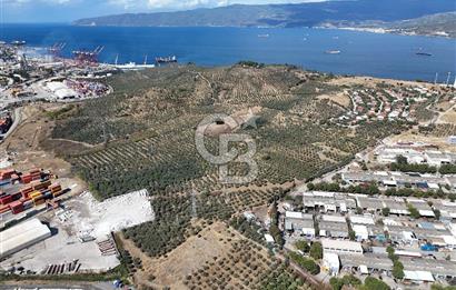 GEMLİK HİSAR SATILIK DEPOLAMA İMARLI EMSALSİZ ARSA. 12.132 M2!