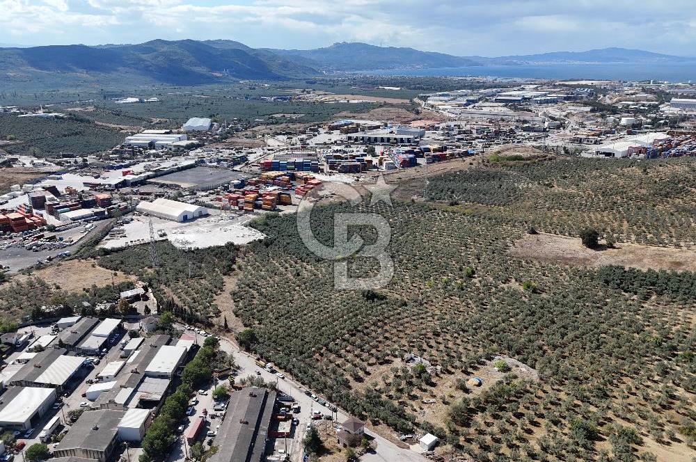 GEMLİK HİSAR SATILIK DEPOLAMA İMARLI EMSALSİZ ARSA. 12.132 M2!