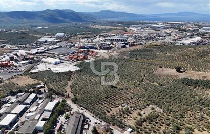 GEMLİK HİSAR SATILIK DEPOLAMA İMARLI EMSALSİZ ARSA. 12.132 M2!