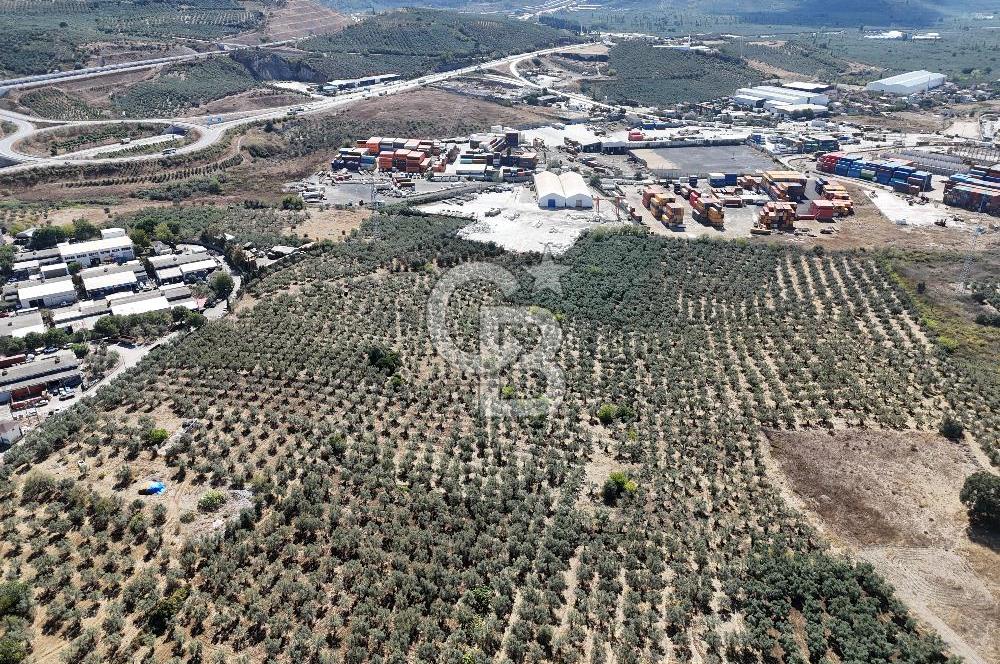 GEMLİK HİSAR SATILIK DEPOLAMA İMARLI EMSALSİZ ARSA. 12.132 M2!