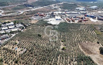 GEMLİK HİSAR SATILIK DEPOLAMA İMARLI EMSALSİZ ARSA. 12.132 M2!