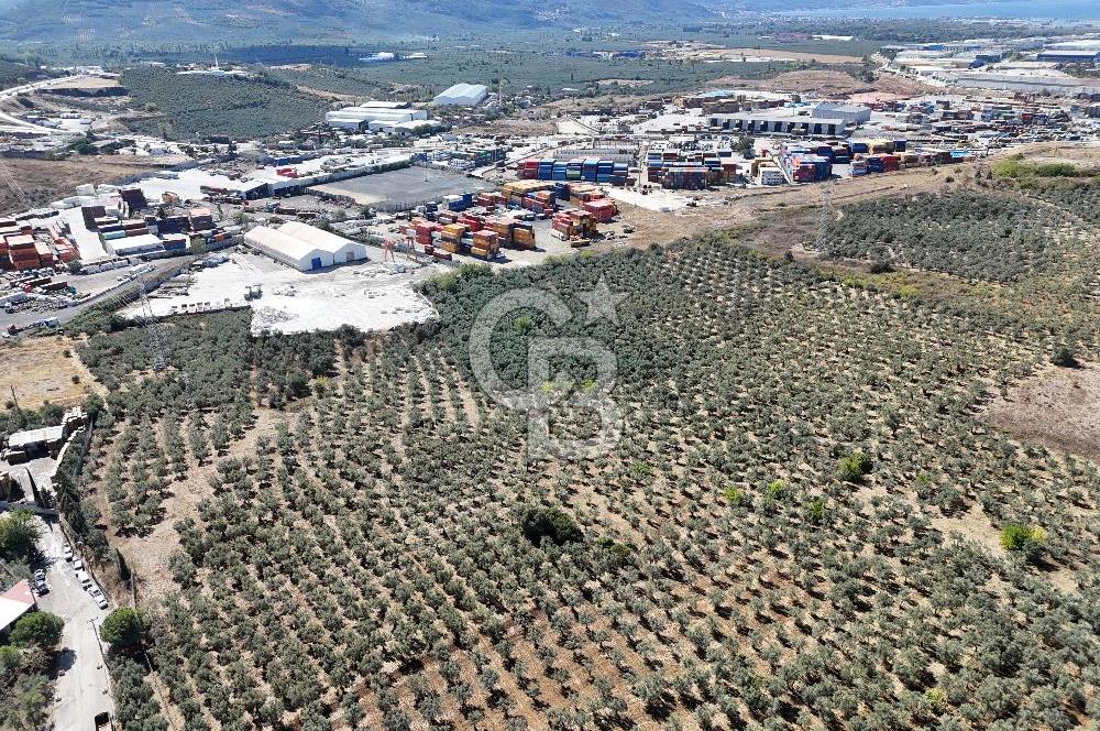 GEMLİK HİSAR SATILIK DEPOLAMA İMARLI EMSALSİZ ARSA. 12.132 M2!
