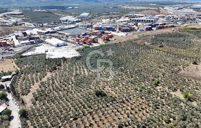 GEMLİK HİSAR SATILIK DEPOLAMA İMARLI EMSALSİZ ARSA. 12.132 M2!
