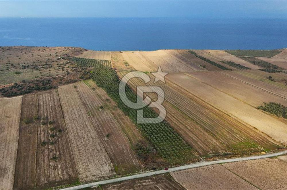 Çanakkale Kumkale'de 12.698 m² Tarla Vasıflı Satılık Zeytinlik