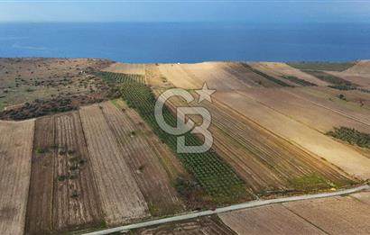 Çanakkale Kumkale'de 12.698 m² Tarla Vasıflı Satılık Zeytinlik