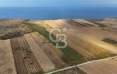 Çanakkale Kumkale de 13.150 m² Tarla Vasıflı Satılık Zeytinlik