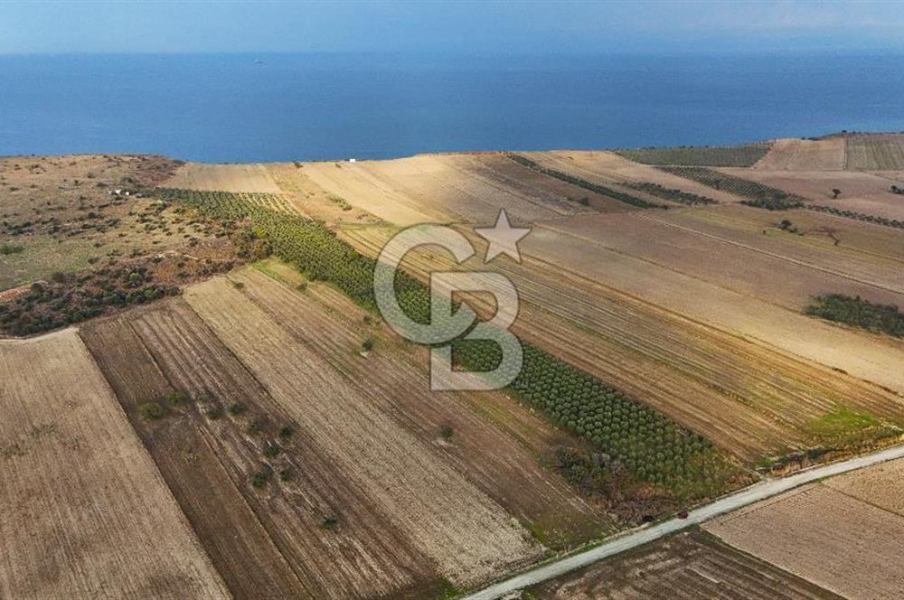 Çanakkale Kumkale'de 12.698 m² Tarla Vasıflı Satılık Zeytinlik