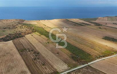 Çanakkale Kumkale'de 12.698 m² Tarla Vasıflı Satılık Zeytinlik