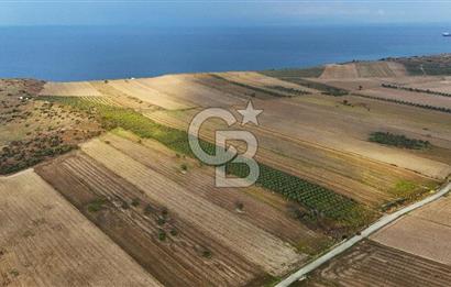 Çanakkale Kumkale de 13.150 m² Tarla Vasıflı Satılık Zeytinlik