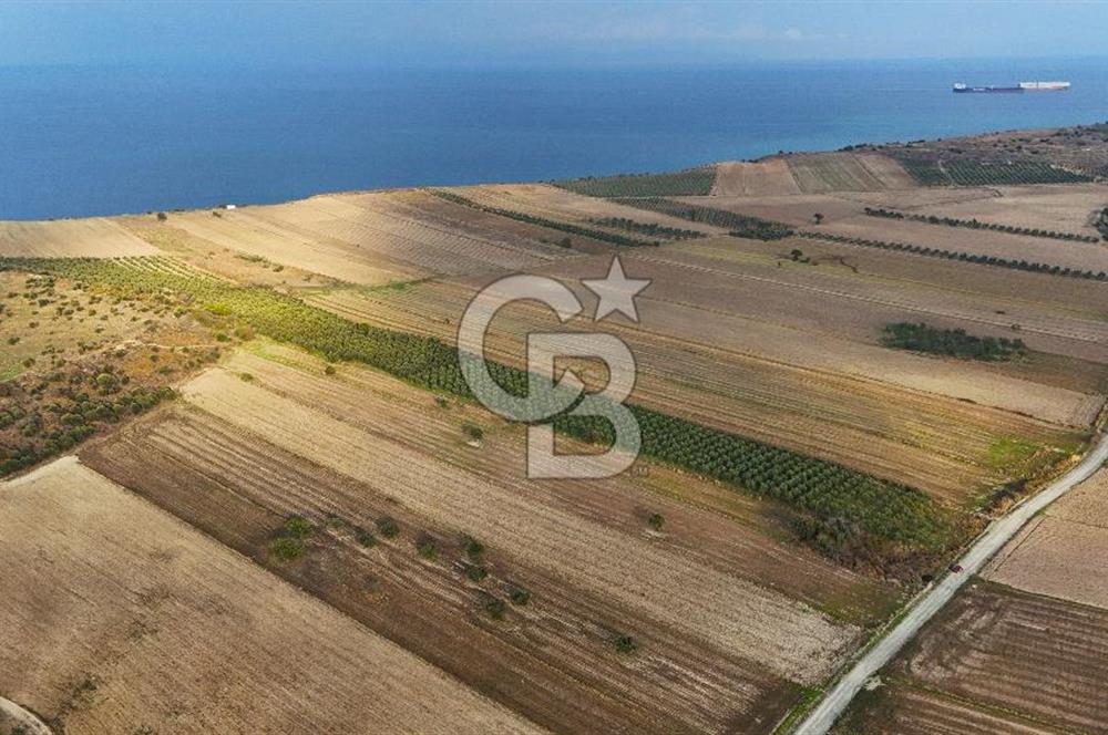 Çanakkale Kumkale'de 12.698 m² Tarla Vasıflı Satılık Zeytinlik