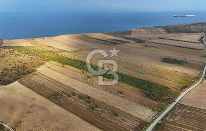 Çanakkale Kumkale'de 12.698 m² Tarla Vasıflı Satılık Zeytinlik