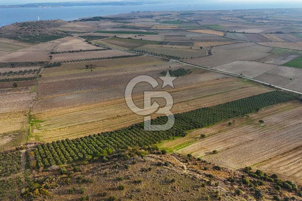 Çanakkale Kumkale'de 12.698 m² Tarla Vasıflı Satılık Zeytinlik