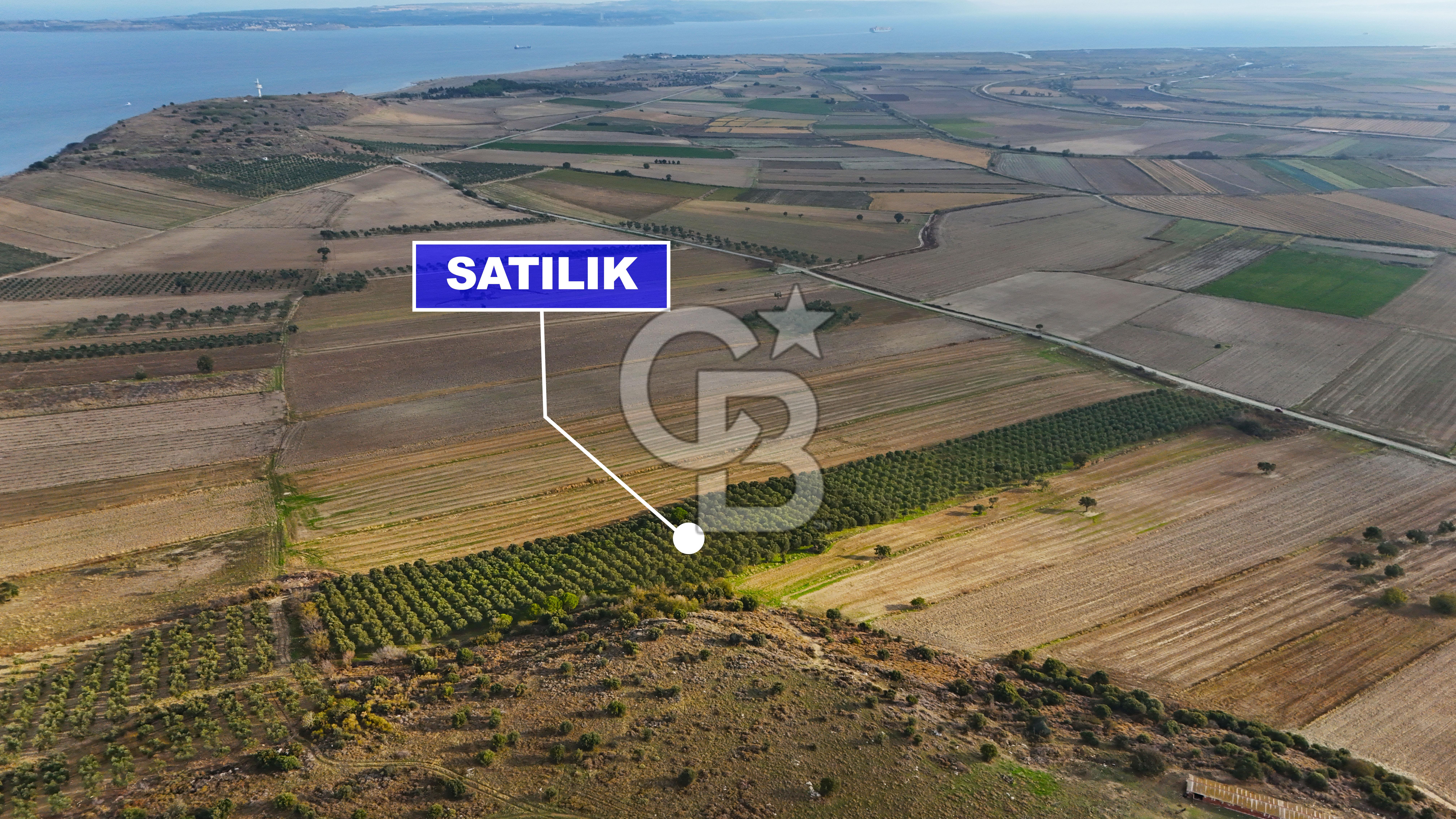 Çanakkale Kumkale'de 12.698 m² Tarla Vasıflı Satılık Zeytinlik