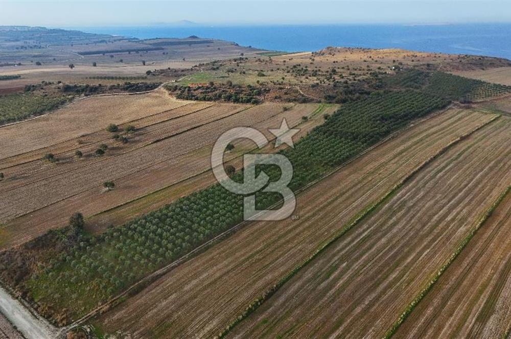 Çanakkale Kumkale'de 12.698 m² Tarla Vasıflı Satılık Zeytinlik