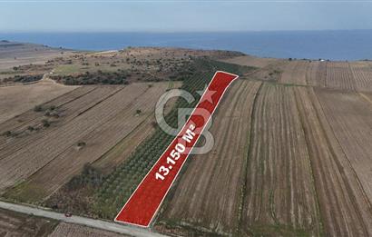 Çanakkale Kumkale de 13.150 m² Tarla Vasıflı Satılık Zeytinlik
