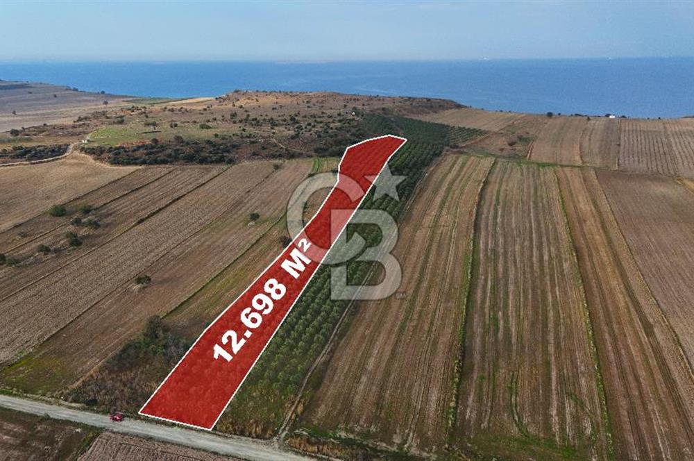 Çanakkale Kumkale'de 12.698 m² Tarla Vasıflı Satılık Zeytinlik