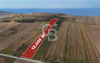 Çanakkale Kumkale'de 12.698 m² Tarla Vasıflı Satılık Zeytinlik