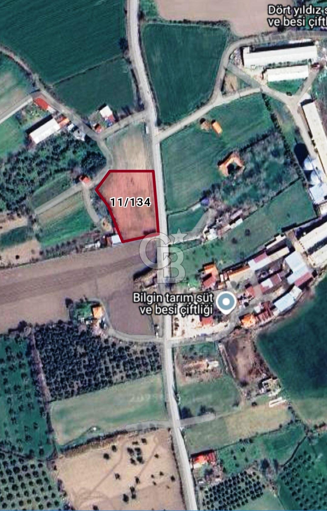 Balıkesir Burhaniye Geriş Mahallesinde Satılık 3734 M2 Tarla