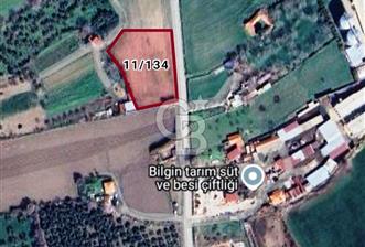 Balıkesir Burhaniye Geriş Mahallesinde Satılık 3734 M2 Tarla