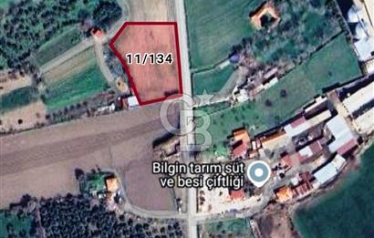 Balıkesir Burhaniye Geriş Mahallesinde Satılık 3734 M2 Tarla