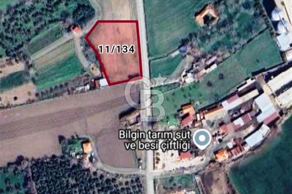 Balıkesir Burhaniye Geriş Mahallesinde Satılık 3734 M2 Tarla