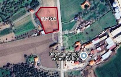 Balıkesir Burhaniye Geriş Mahallesinde Satılık 3734 M2 Tarla