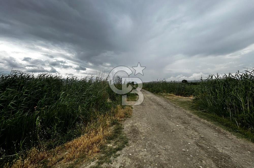 Sarayköy Beylerbeyi 7652 m2 Satılık Tarla