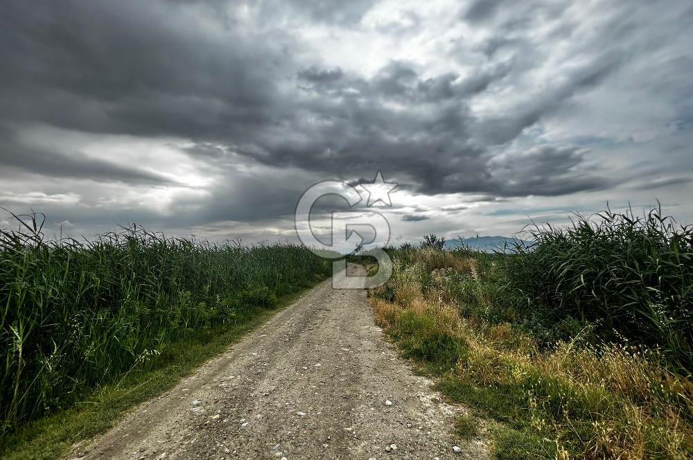 Sarayköy Beylerbeyi 7652 m2 Satılık Tarla
