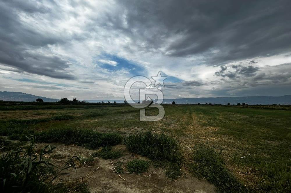 Sarayköy Beylerbeyi 7652 m2 Satılık Tarla