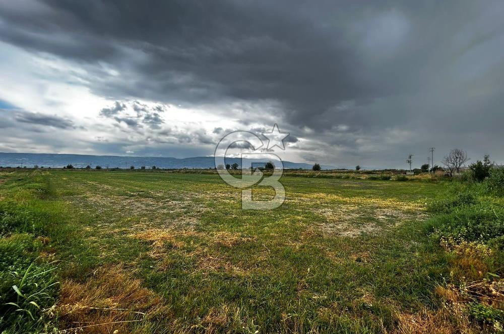 Sarayköy Beylerbeyi 7652 m2 Satılık Tarla