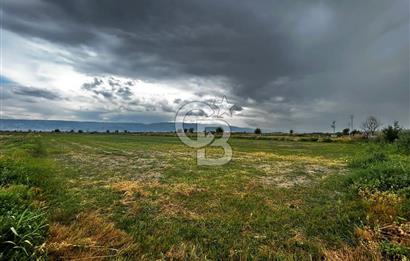 Sarayköy Beylerbeyi 7652 m2 Satılık Tarla