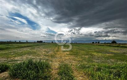 Sarayköy Beylerbeyi 7652 m2 Satılık Tarla