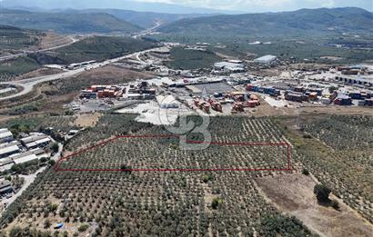 GEMLİK HİSAR SATILIK DEPOLAMA İMARLI EMSALSİZ ARSA. 12.132 M2!