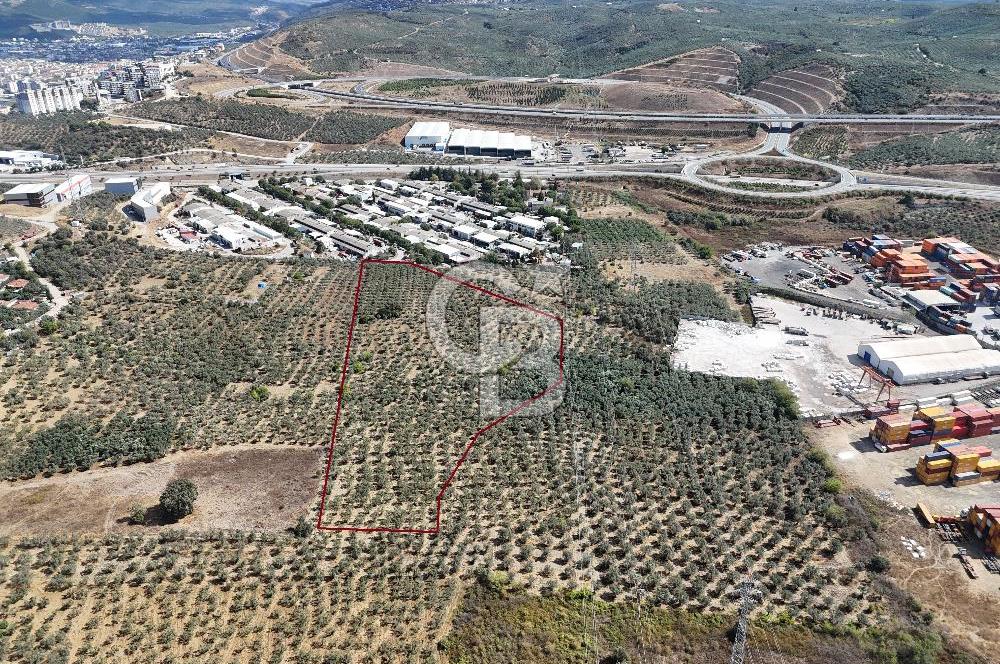 GEMLİK HİSAR SATILIK DEPOLAMA İMARLI EMSALSİZ ARSA. 12.132 M2!