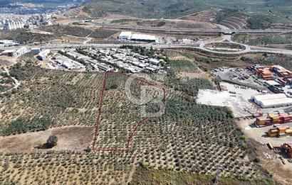 GEMLİK HİSAR SATILIK DEPOLAMA İMARLI EMSALSİZ ARSA. 12.132 M2!