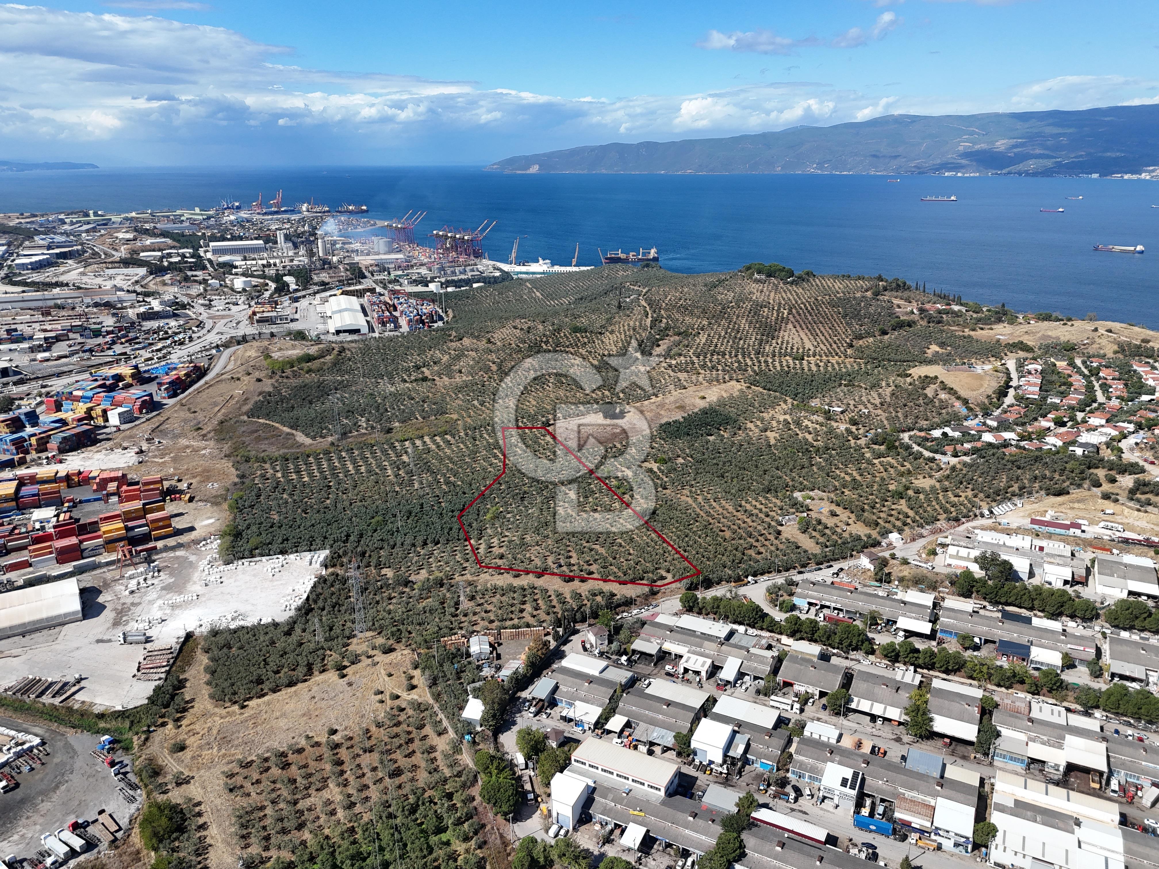 GEMLİK HİSAR SATILIK DEPOLAMA İMARLI EMSALSİZ ARSA. 12.132 M2!